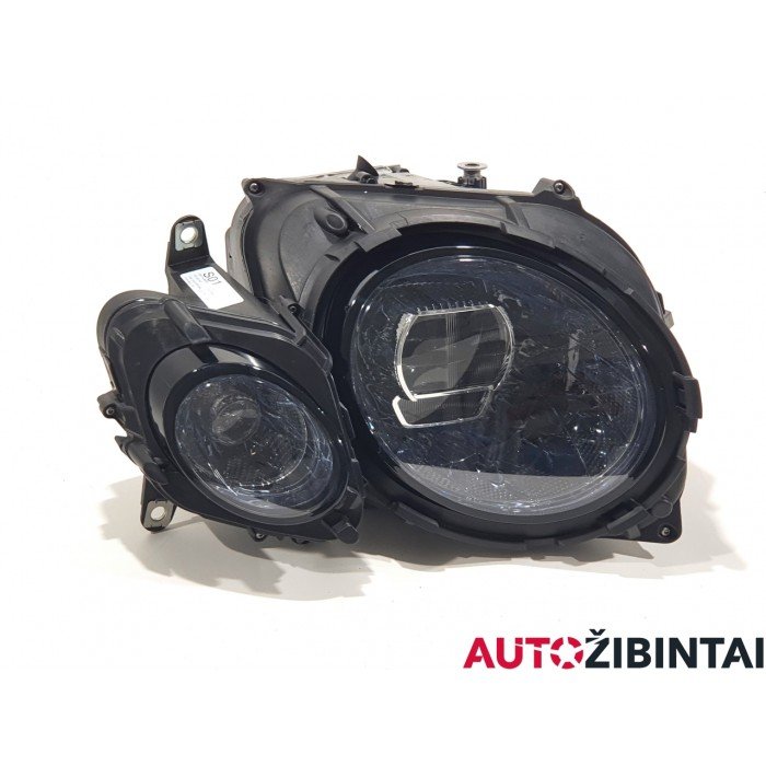 Headlight (00206667-01)