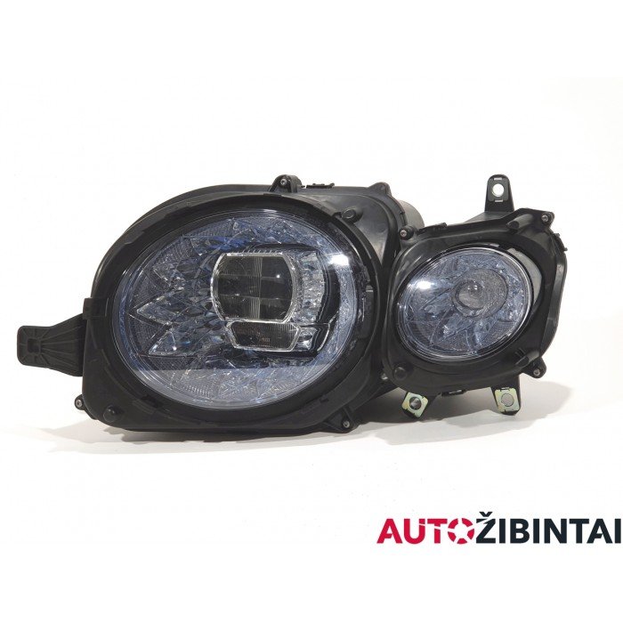 Headlight (3SE941005L)