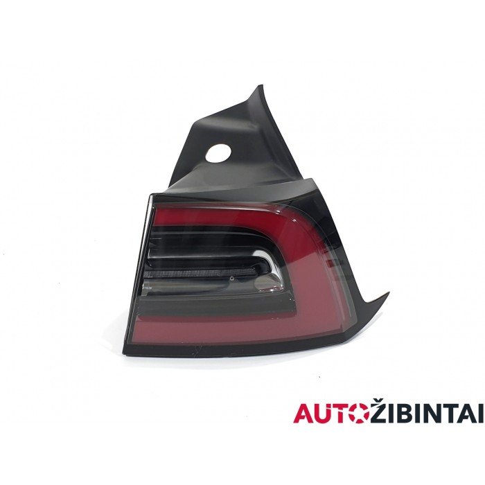 TESLA MODEL 3 Galinis žibintas (107740000B)