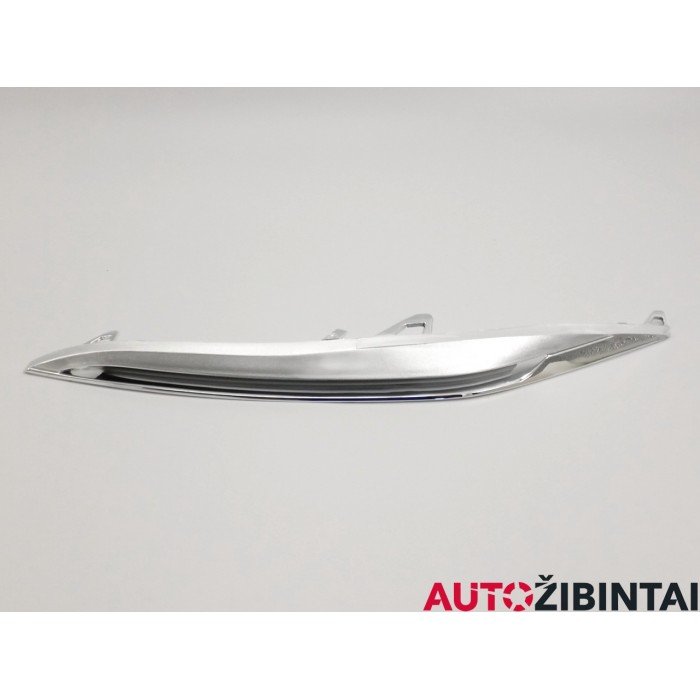 BMW 5 Touring (F11) Headlight chrome (LA12-002)