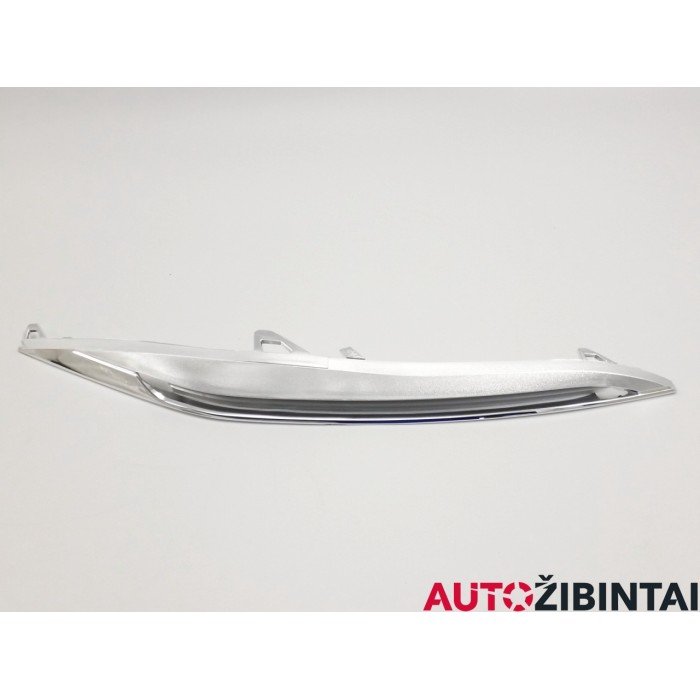 BMW 5 Touring (F11) Headlight chrome (LA12-002)