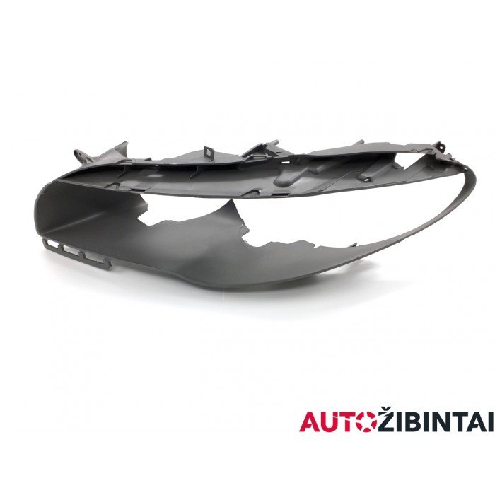 BMW 5 Touring (F11) Headlight case