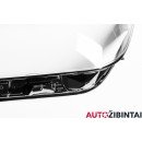 VW PASSAT ALLTRACK (3G5) Headlight glass (3G1941081G)