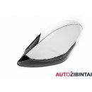 PORSCHE CAYENNE (9YA) Headlight glass (9Y0941039F)