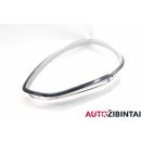 PORSCHE PANAMERA (970) Headlight glass (97063116954)