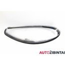 PORSCHE PANAMERA (970) Headlight glass (97063116854)