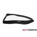 MERCEDES-BENZ S-CLASS Coupe (C217) Headlight glass (A2179066000)