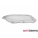 OPEL INSIGNIA A Saloon (G09) Headlight glass (1ZT011166-02)