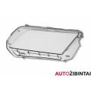 FORD USA MUSTANG Coupe Priekinio žibinto stiklas (DR3Z13008D)