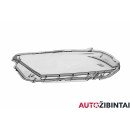 FORD USA MUSTANG Coupe Priekinio žibinto stiklas (DR3Z13008C)