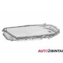 FORD USA MUSTANG Coupe Priekinio žibinto stiklas (DR3Z13008C)