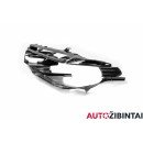 BMW 5 (G30, F90) Headlight case