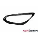 MERCEDES-BENZ AMG GT (C190) Headlight glass (A1909067000)