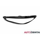 MERCEDES-BENZ AMG GT (C190) Headlight glass (A1909067000)