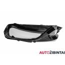 MERCEDES-BENZ GLB-CLASS (X247) Priekinio žibinto stiklas (A2479069501)