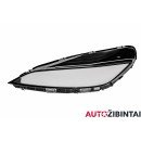 TESLA MODEL 3 Priekinio žibinto stiklas (1760889-99-C)