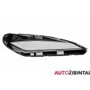 TESLA MODEL 3 Priekinio žibinto stiklas (1760889-99-C)