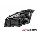 MERCEDES-BENZ A-CLASS (W176) Headlight housing (A1769069000)