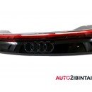AUDI Q8 (4MN) Galinis žibintas (4M8945095S)